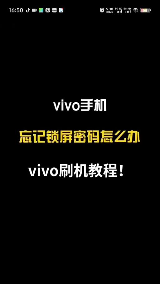 vivo手机新系统安装步骤？vivo系统更新教程？