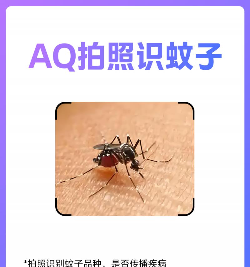AQ 推出拍照识蚊子功能