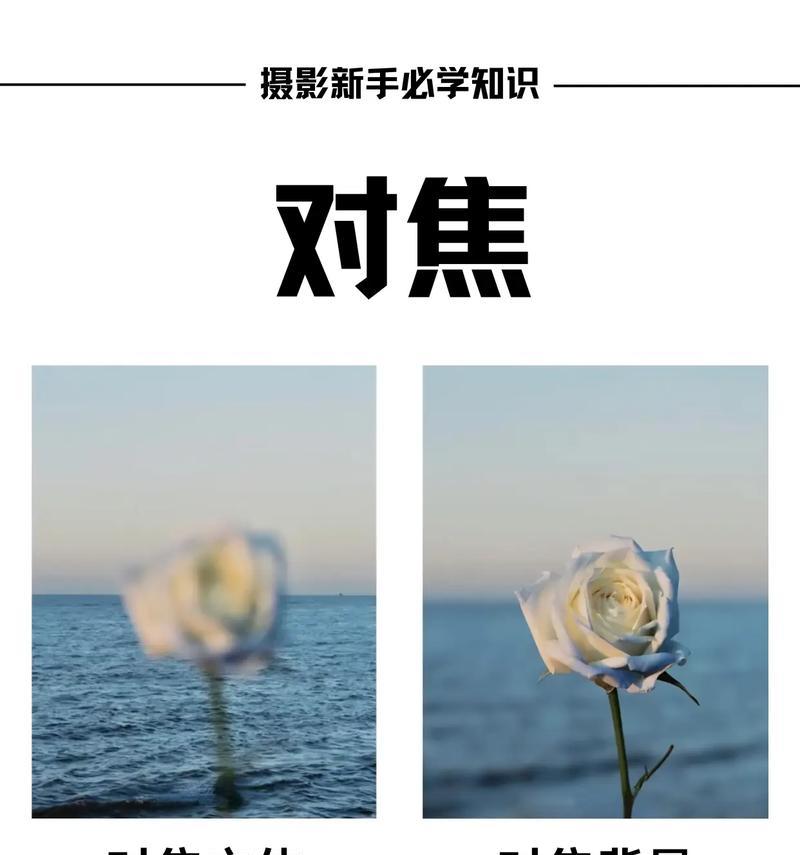 相机如何手动选择焦点?自动对焦不准确时怎么办? 相机如何手动选择焦点?自动对焦不准确时怎么办?