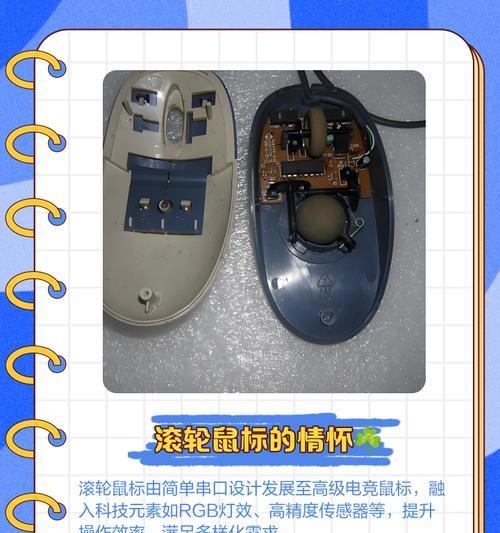 解决鼠标滚轮失灵问题的技巧（从多方面分析鼠标滚轮失灵的原因及解决方法）