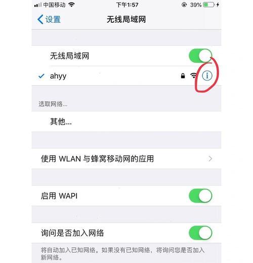 网络连接成功无法上网的解决办法（教你轻松搞定连接网络却上不了网的问题）