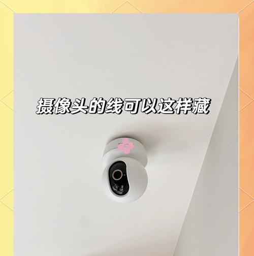 植物中隐藏的摄像头是什么？