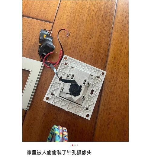 植物中隐藏的摄像头是什么？